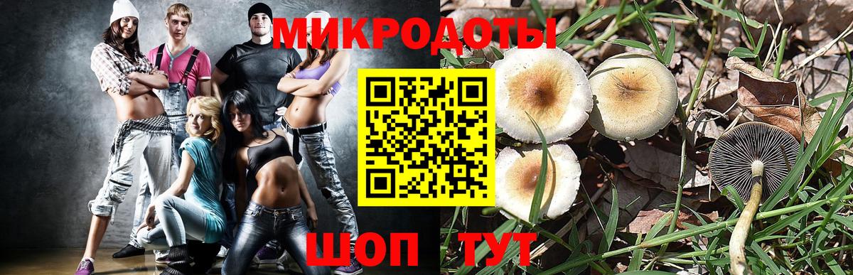Ялта  Псилоцибиновые грибы мухоморы  Вход с VPN 